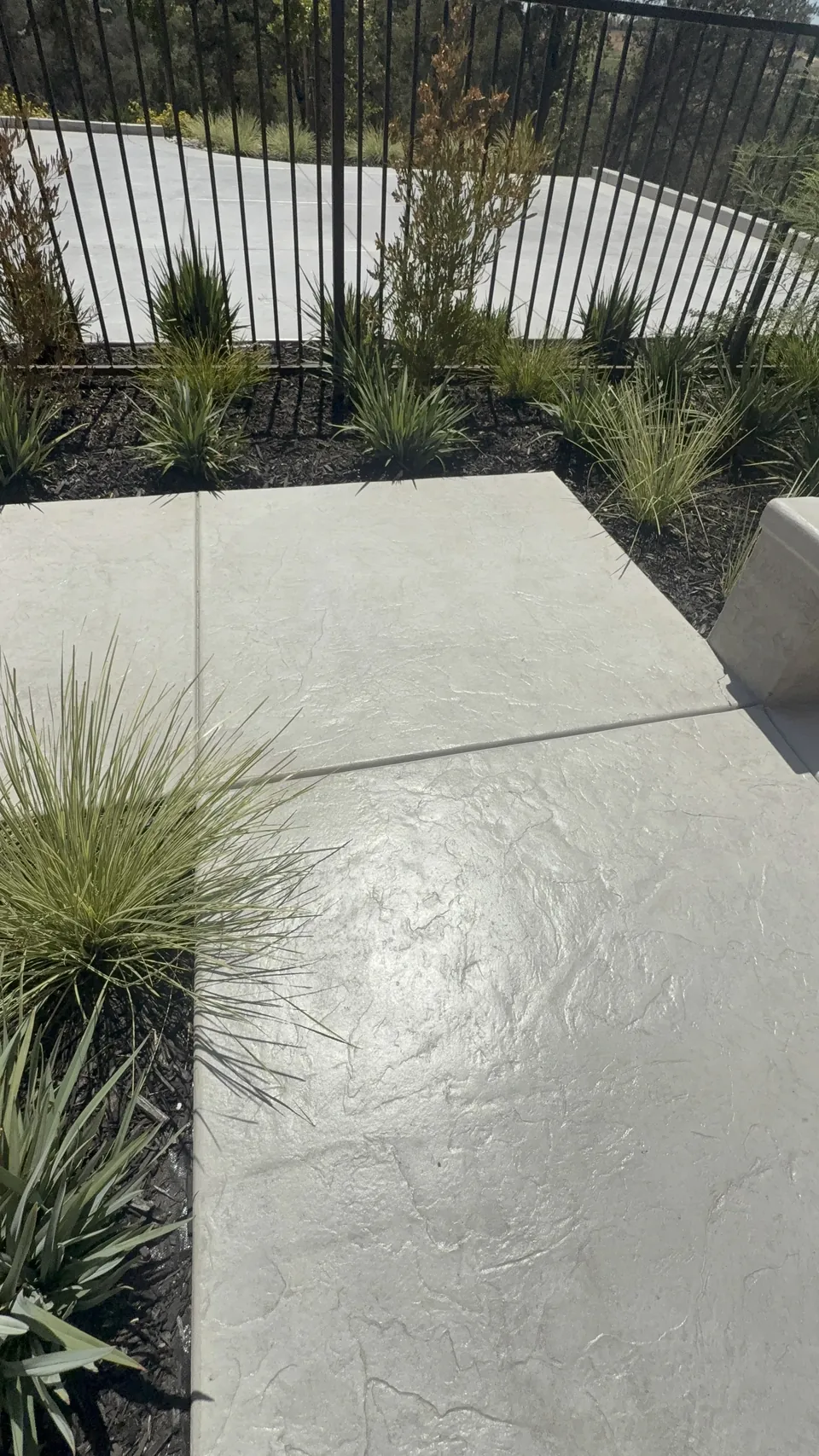 Sealed walkway along the landscaping